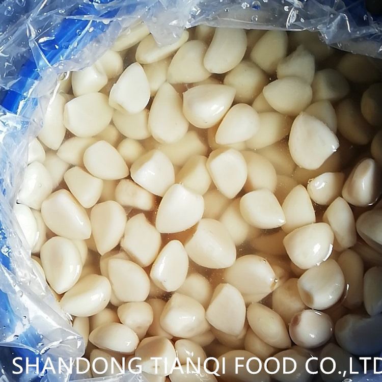 Normal white peeled garlic cloves in brine in drums