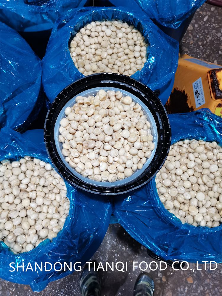 1.5-2.0cm white mushroom in brine in drums 1.5-2.0cm white mushroom in brine in drums