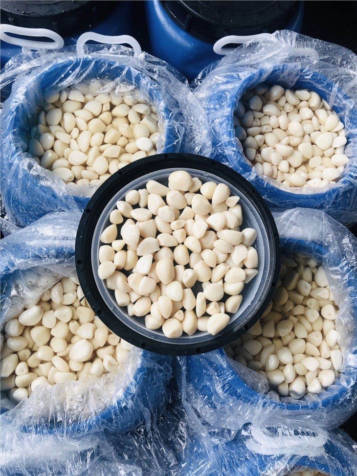 White salty garlic in brine in drums