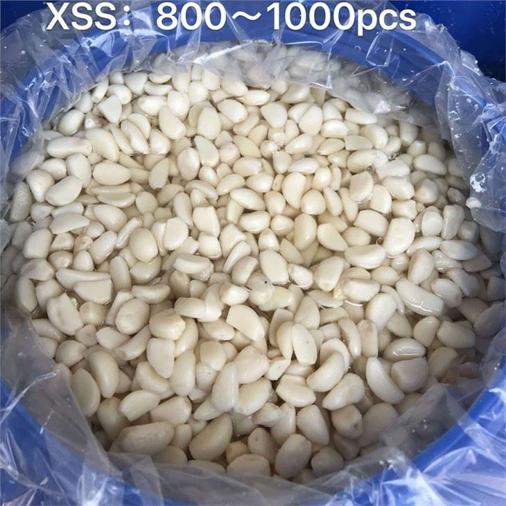 Drum Packed peeled white Garlic in Brine