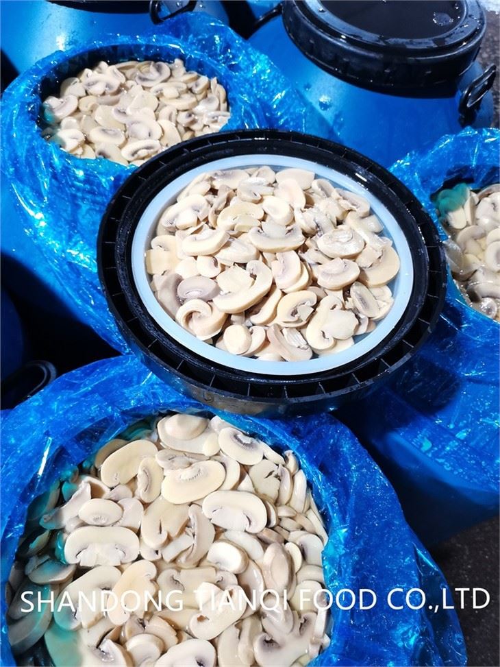 Faqqiegħ Champignon Abjad Flieli Ippakkjar fit-Tanbur Għall-Esportazzjoni