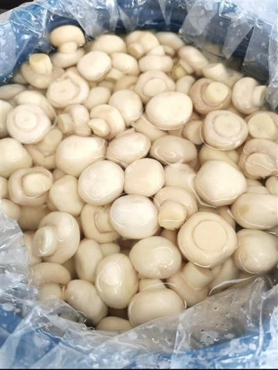 Faqqiegħ ippreservat fit-Tanbur 50kg